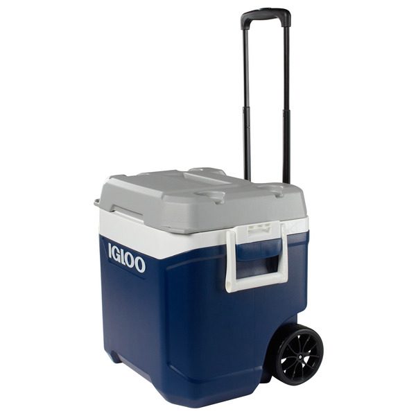 Cooler